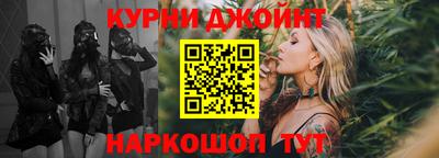 мдпв Кингисепп
