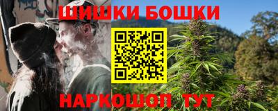 мдпв Кингисепп