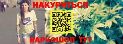мдпв Кингисепп