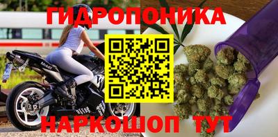 мдпв Кингисепп
