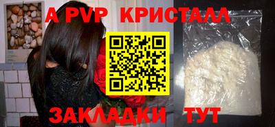 мдпв Кингисепп