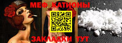 мдпв Кингисепп