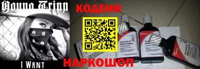мдпв Кингисепп