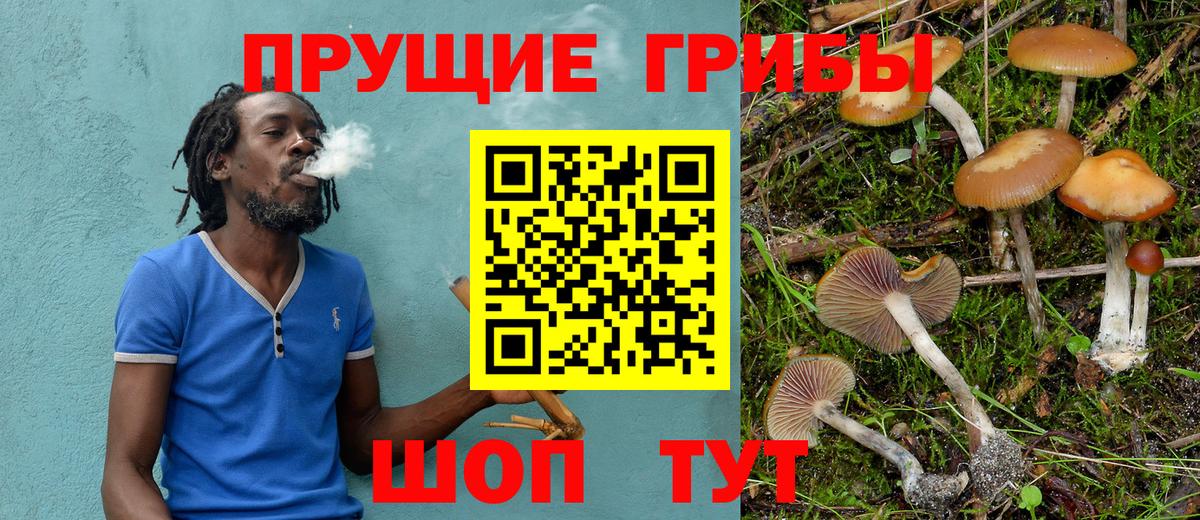 Лесозаводск  Галлюциногенные грибы прущие грибы  Вход с VPN  Псилоцибиновые грибы ЛСД 