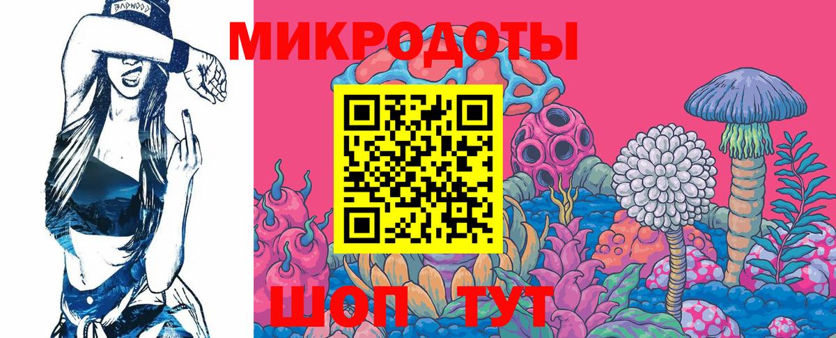 Галлюциногенные грибы Cubensis Лесозаводск